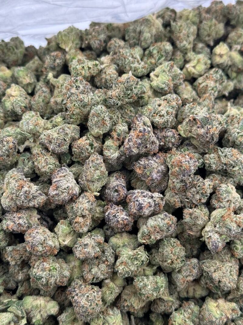 Cherry Bomb | Licensed Designer Exotics |