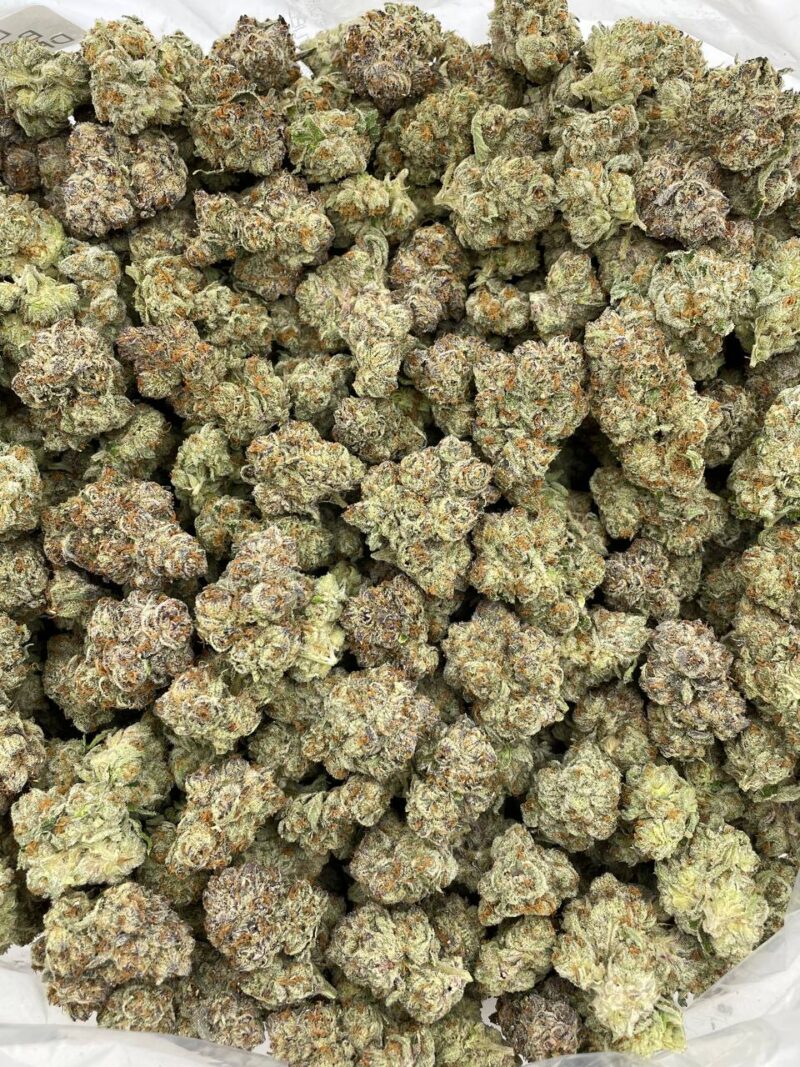 Candy SFV indoors 🍭⛽️